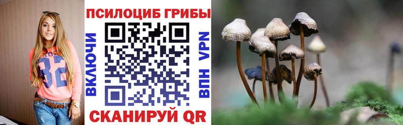 Псилоцибиновые грибы Magic Shrooms  Купить закладки  Махачкала 